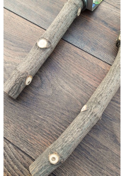 Venty Doğal Papağan Tünekleri 2 Adet | Macaw, Kakadu, Jako, Amazon, Eklektus, Alex, Kayık - M402 indirimleri