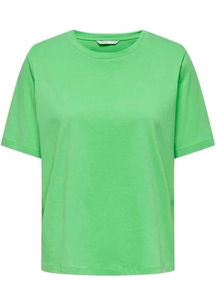 Basic Solıd Color T-Shirt