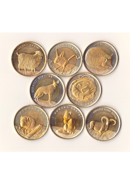 8 Farklı Bimetal Hayvanlar Hatıra Para Madeni Lotu /a-23