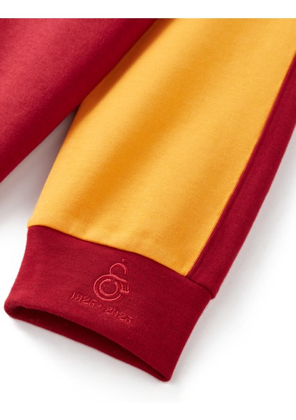 Galatasaray 1925 Retro Forma E251158