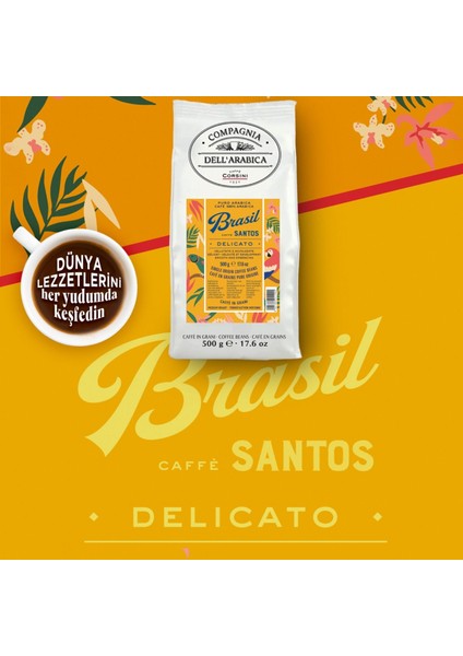 Brezilya Santos %100 Arabica Çekirdek Kahve 250 gr fiyatları