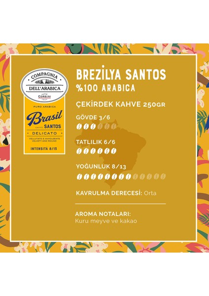 Brezilya Santos %100 Arabica Çekirdek Kahve 250 gr modelleri