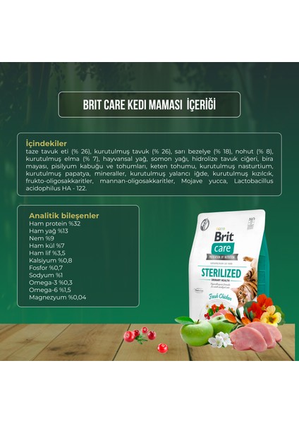 Tahılsız Sterilised Urinary Tavuklu Kedi Maması 2kg