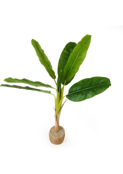 Hasır Efekt Saksıda Muz Ağacı - Renkli - 130 cm modelleri