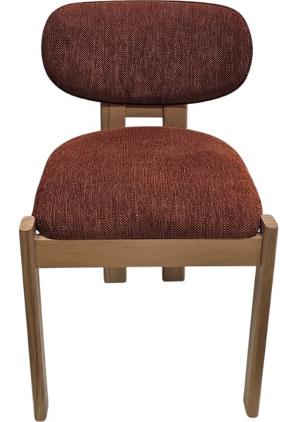 Bush Ahşap Modern Sandalye modelleri