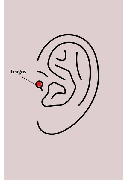316L Çelik Gümüş Renk Zirkon Taş Detay Beyaz Çiçek Model Tragus Piercing fiyatları