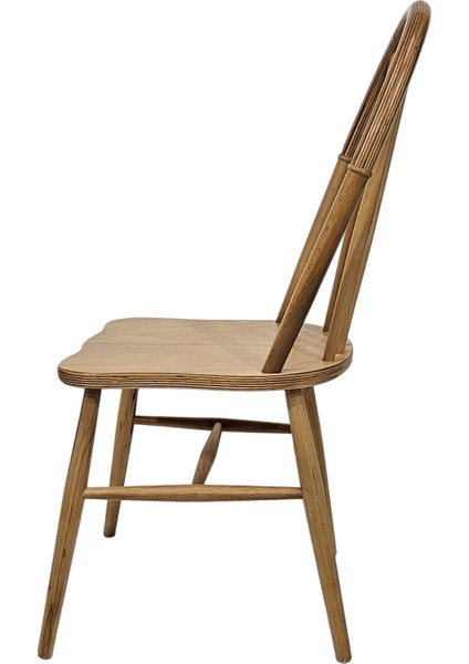 Begonia Ahşap Modern Sandalye fiyatları