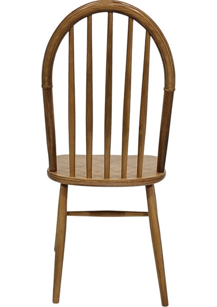 Begonia Ahşap Modern Sandalye modelleri