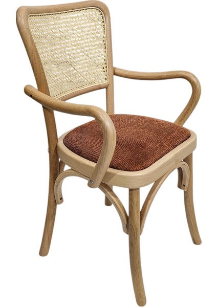 Hasağaç Pome Ahşap Modern Sandalye