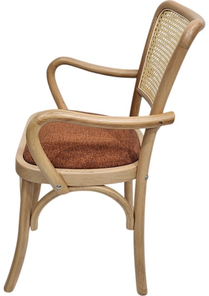 Hasağaç Pome Ahşap Modern Sandalye fiyatları