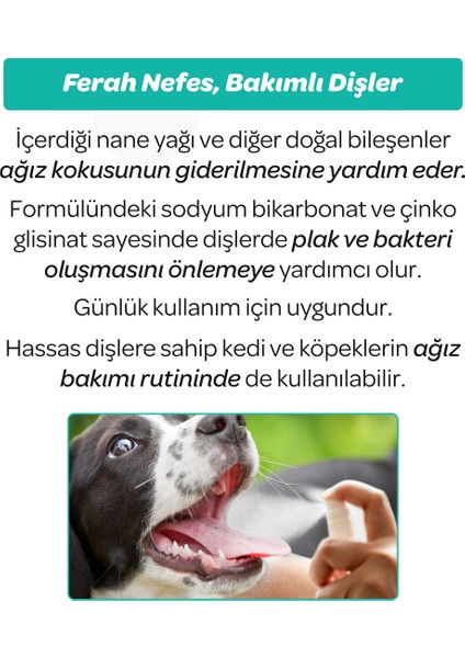 Kedi ve Köpekler Için Diş ve Ağız Bakım Spreyi 50ML fırsatları