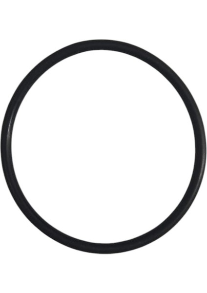 Honda Alpha Benzin Şamandıra O Rıngi Motospartan