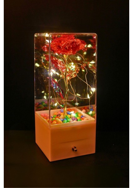 Işıklı Sonsuz Gül Fanus Sevgiliye Özel Romantik Hediye Kutusu