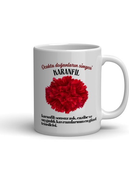 Ocak Ayında Doğanların Simgesi Çiçek Baskılı Kupa Bardak