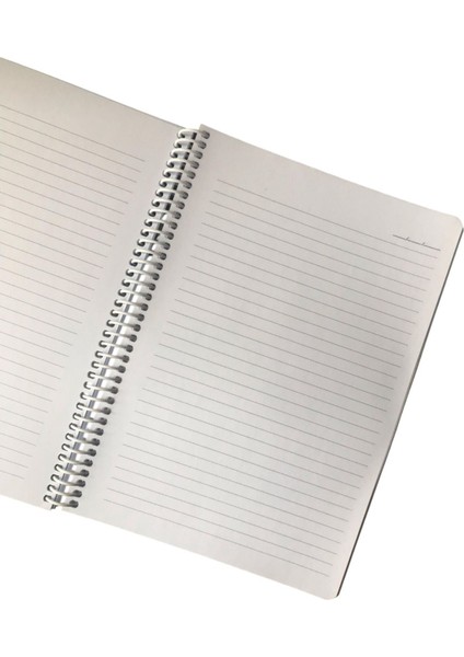 Atakids Lizy 120 Yaprak 17X24CM Baskılı Bristol Kapak Spiralli Çizgili Defter 2'li Set indirimleri