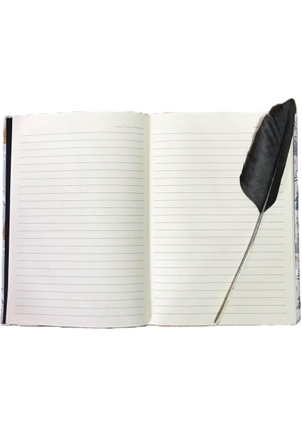 Atakids Lizy Sekreterlik Dosyası, Defter ve Haftalık Planlayıcı 3'lü Set fırsatları