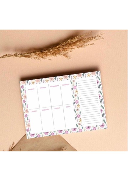 Atakids Lizy Sekreterlik Dosyası, Defter ve Haftalık Planlayıcı 3'lü Set indirimleri