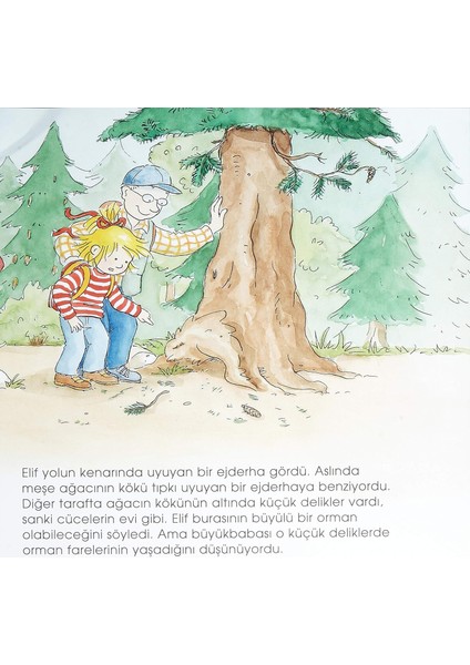 Elif Pikniğe Gidiyor - İlk Okuma Kitabım - Liane Schneider