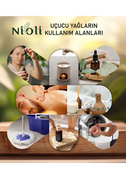 Okaliptus Esansiyel Uçucu Yağ Buhurdanlık Yağı Aromaterapi Yağı 30 ml