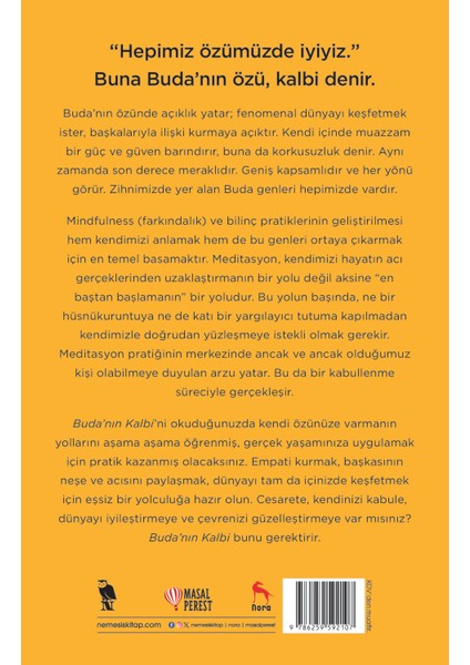 Buda’nın Kalbi Zihinsel ve Sezgisel Bir Uyanış Rehberi - Chögyam Trungpa