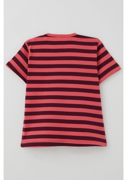 Kız Çocuk Tişört Patlı Çizgili 1-4 Yaş, Mercan fiyatları