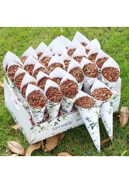 30 Delik Tepsi 5 Düğün Konfeti Konileri Tutucu Kutusu Düğün Dekor Konfeti Konileri Stand Kutusu Düğün Konfeti Kurutulmuş Çiçekler Tepsi Düğün Kağıt Konileri (Yurt Dışından)