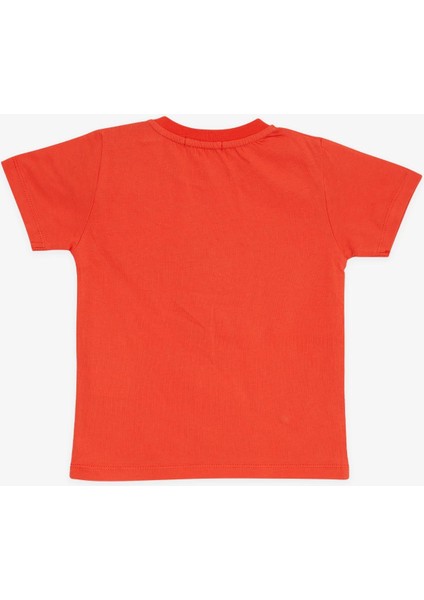 GİRLS & BOYS Erkek Çocuk Tişört Pop Corn Baskılı 2-6 Yaş, Mercan