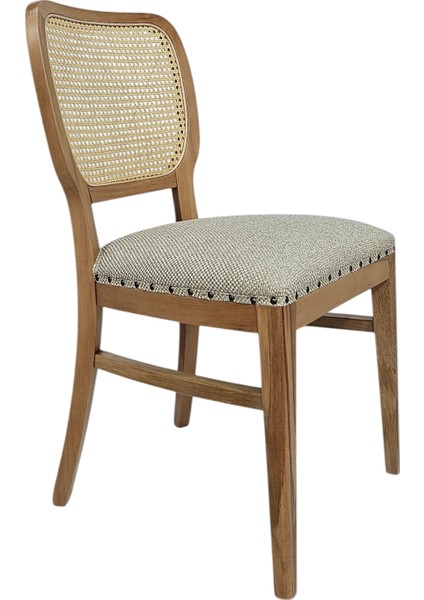 Hasağaç Morbido Ahşap Modern Sandalye