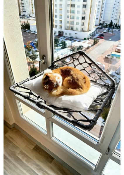 Katlanır Kedi Köpek Cam Yatağı, El Yapımı Vantuzlu Kedi Köpek Cam Hamağı, 45CM*35CM