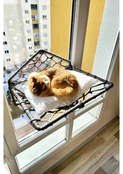 Katlanır Kedi Köpek Cam Yatağı, El Yapımı Vantuzlu Kedi Köpek Cam Hamağı, 45CM*35CM fiyatları