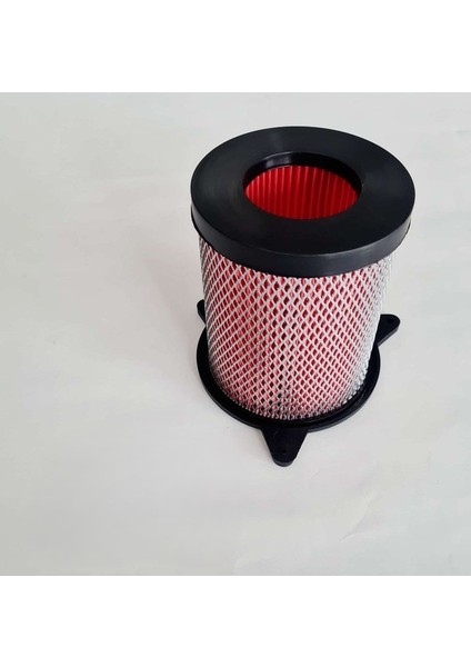 Hava Filtresi - Rks R250