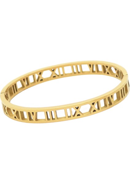 56-58MM Tarzı Sarı-Altın-Renk Kadınlar Için Sarı Altın Renkli Titanyum Çelik Bilezik Roma Rakamlı Takı Boş Bilezik (Yurt Dışından) fiyatları