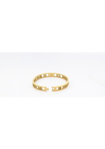 58-60MM Tarzı Gül-Altın-Renk Kadınlar Için Sarı Altın Renkli Titanyum Çelik Bilezik Roma Rakamlı Takı Boş Bilezik (Yurt Dışından) indirimleri