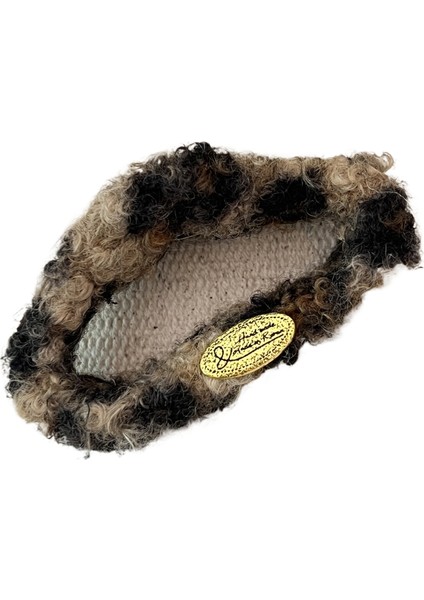 Saç Plakası Köpekbalığı Klipsi (Yurt Dışından)