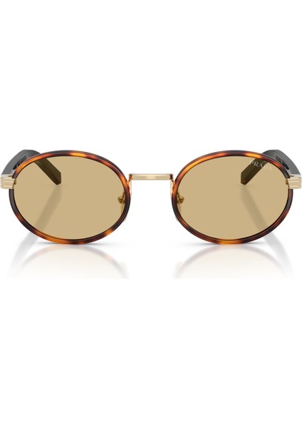 B56S 21E10R 52 Unisex Güneş Gözlüğü