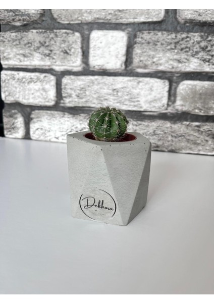 Beton Saksı Beşgen Model