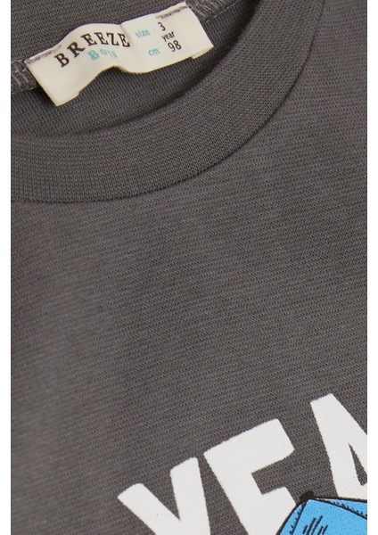 Girls & Boys Erkek Çocuk Uzun Kollu Tişört Şapkalı Havalı Aslancık Baskılı 1-4 Yaş, Füme fırsatları