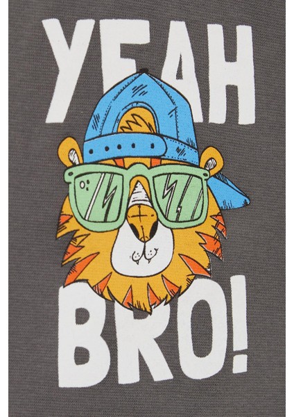 Girls & Boys Erkek Çocuk Uzun Kollu Tişört Şapkalı Havalı Aslancık Baskılı 1-4 Yaş, Füme indirimleri