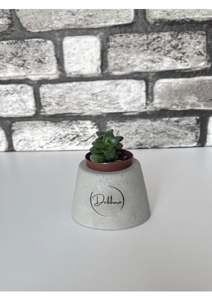 Beton Saksı Elips Model