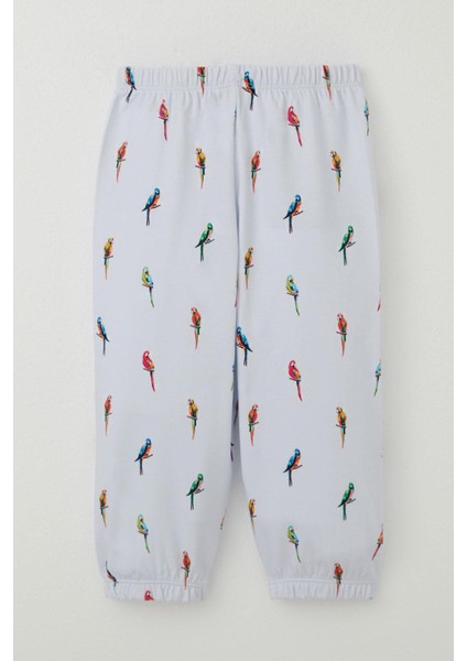 Erkek Çocuk Pijama Takımı Renkli Papağan Desenli 1-3 Yaş, Buz Mavisi indirimleri