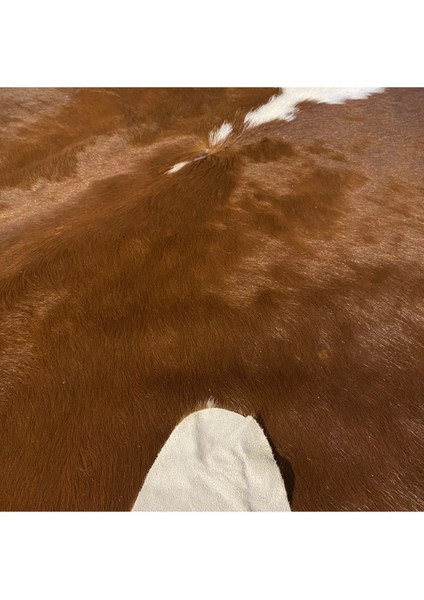 Hakiki Deri Dana Postu Küçük Boyutlu 175 x 185 - 1501000012 fırsatları