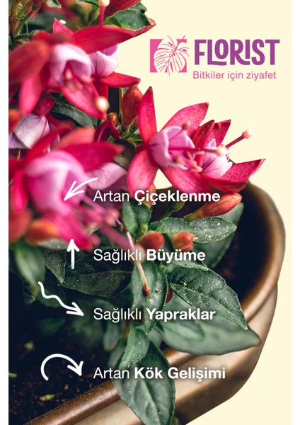 Bitki Besini – Çiçekli & Yeşil Yapraklı Ikili Bakım Seti | Çift Etkili Bitki Gücü fırsatları