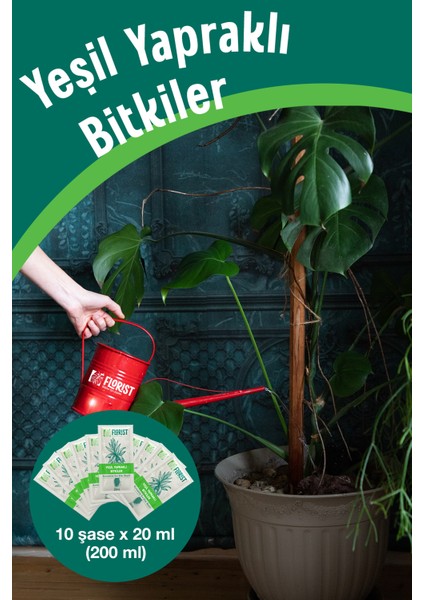 Bitki Besini – Çiçekli & Yeşil Yapraklı Ikili Bakım Seti | Çift Etkili Bitki Gücü indirimleri
