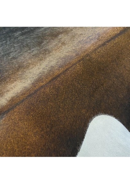 Hakiki Deri Dana Postu Mıx Kahve 195 x 235 - 1001000098 fırsatları