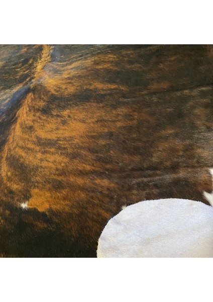 Hakiki Deri Dana Postu Egzotik 200 x 230 - 0401000289 fırsatları