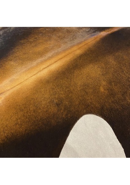 Hakiki Deri Dana Postu Mıx Kahve 195 x 245 - 1001000004 fırsatları