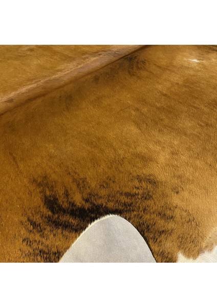 Hakiki Deri Dana Postu Egzotik 210 x 230 - 0401000400 fırsatları