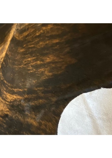 Hakiki Deri Dana Postu Egzotik 180 x 225 - 0401000109 fırsatları