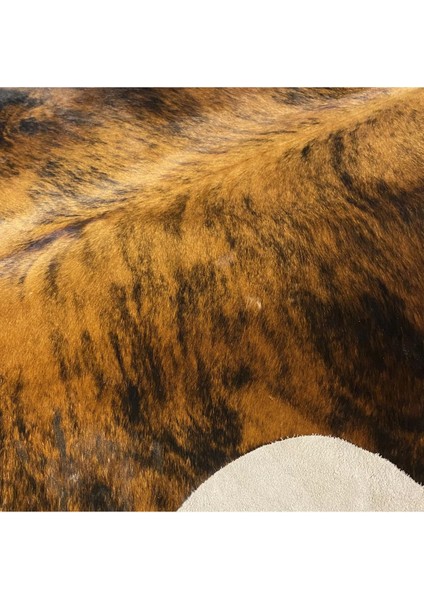 Hakiki Deri Dana Postu Egzotik 215 x 250 - 0401000426 fırsatları