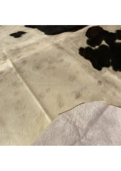 Hakiki Deri Dana Postu Üç Renk 200 x 235 - 0901000067 fırsatları